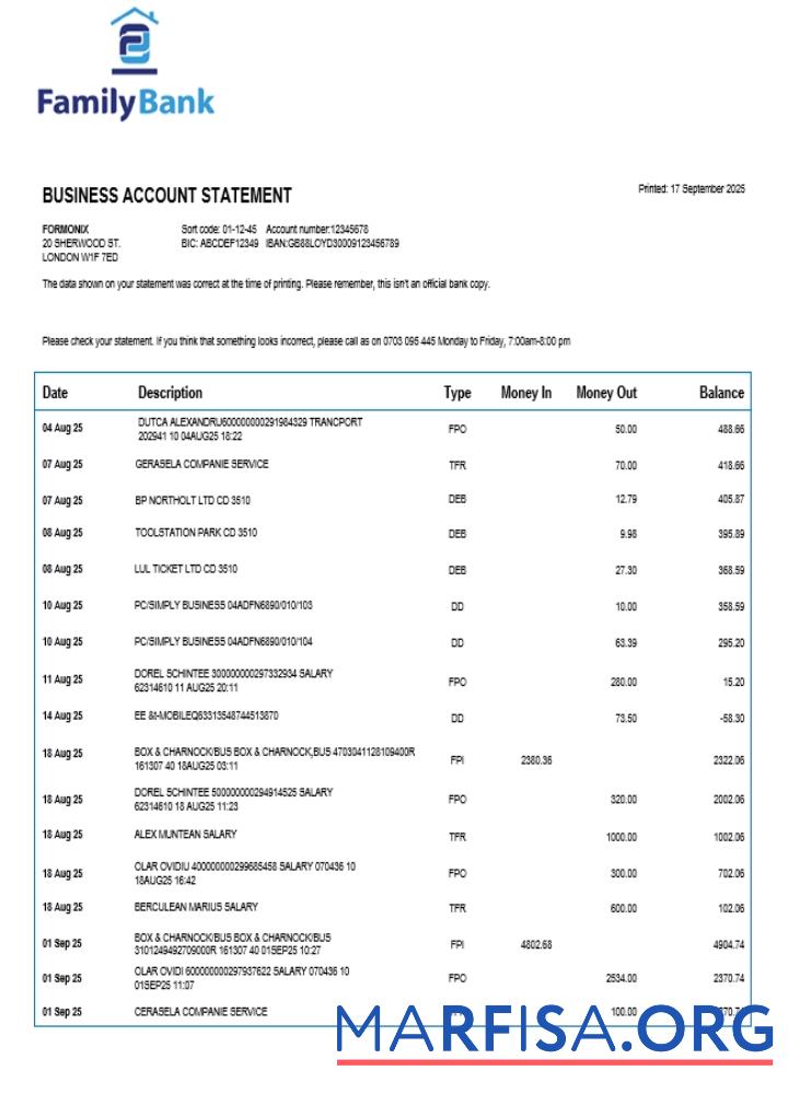 Realistic Family company checking account statement Word and PDF template 1
